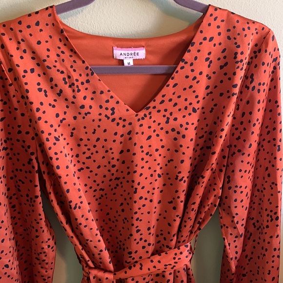 Cheetah print Long sleeve mid length dress - Picture 2 of 3